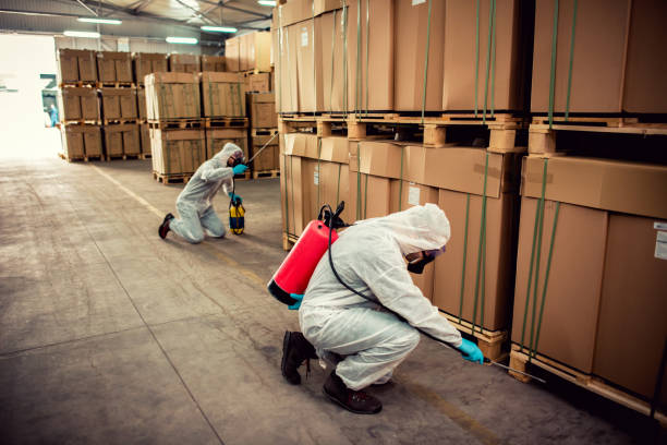 Best Best Pest Control Companies  in Raymond, IL