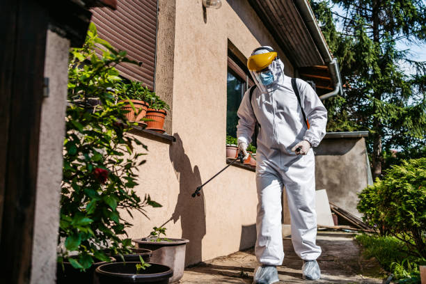 Best Exterminator Services  in Raymond, IL