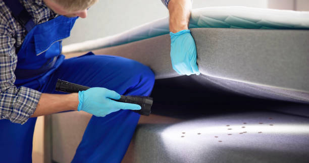 Best Insect Control  in Raymond, IL