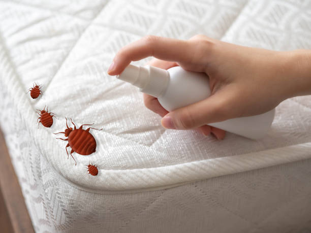 Best Flea Control Services  in Raymond, IL