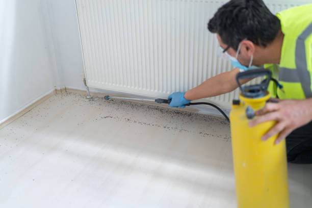 Trusted Raymond, IL Pest Control Experts