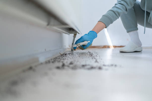 Best Pest Removal Services  in Raymond, IL